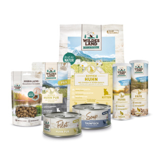 Wildes Land | Wildes Kittenpaket |  | 1 Paket von Wildes Land
