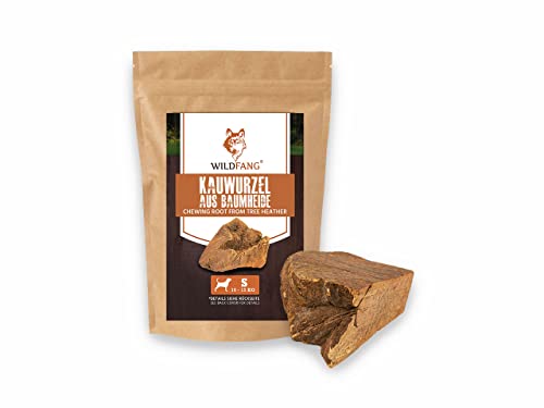 Wildfang® Kauwurzel aus der Baumheide für Hunde, Robustes und Langlebige Kauwurzel Hund, Splitterarmes Kauholz als Hundespielzeug für optimale Zahnpflege für Hunde und Welpen - S von Wildfang
