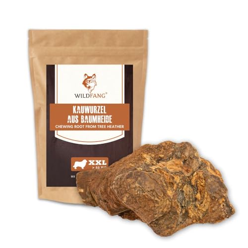 Wildfang® Kauwurzel aus der Baumheide für Hunde, Robustes und Langlebige Kauwurzel Hund, Splitterarmes Kauholz als Hundespielzeug für optimale Zahnpflege für Hunde und Welpen von Wildfang