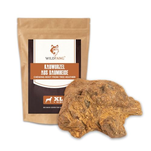 Wildfang® Kauwurzel aus der Baumheide für Hunde, Robustes und Langlebige Kauwurzel Hund, Splitterarmes Kauholz als Hundespielzeug für optimale Zahnpflege für Hunde und Welpen… (XL) von Wildfang