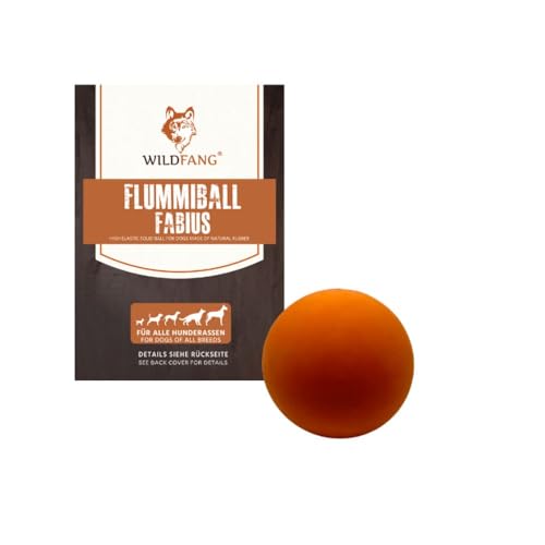 Wildfang® Spielzeug für Hunde aus 100% Naturkautschuk - nahezu unzerstörbar - Kauspielzeug für Hunde - ungiftig - Kauknochen für Hunde - BPA-frei - umweltfreundlich von Wildfang