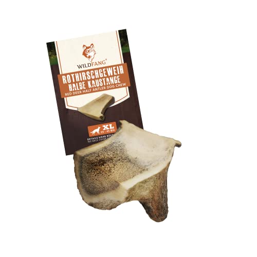Wildfang® halbe Kaustange vom Rothirsch Geweih Hunde Kausnack | Abwurfstange aus EU | Zahnpflege | Hundesnack | Hundespielzeug |langanhaltendes Kauspielzeug für Hunde - XL für Hunde bis 45 kg von Wildfang