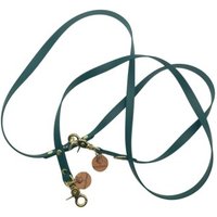 Wildfang Hundeleine "Waldgeflüster" aus U.S. Biothane und Lederbutton mit Wildfang Logo türkis 2,3 m, 1,6 cm Wildfang Hundeleine "Waldgeflüster" aus U.S. Biothane und Lederbutton mit Wildfang Logo türkis 2,3 m, 1,6 cm von Wildfang