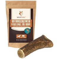 Wildfang Kaugeweih Dam- oder Rothirsch, ganze und halbe Stangen, mit/ohne Lachsöl Wildfang Kaugeweih Dam- oder Rothirsch, ganze und halbe Stangen, mit/ohne Lachsöl von Wildfang