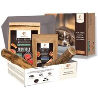 Wildfang Paket "Meerliebe" L von Wildfang