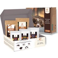 Wildfang Paket "Snack gesund" Wildfang Paket "Snack gesund" von Wildfang