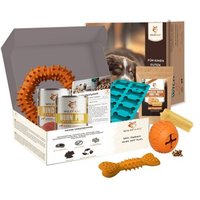 Wildfang Paket "Zauberbox" L Wildfang Paket "Zauberbox" L von Wildfang