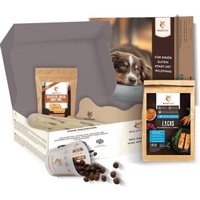 Wildfang Welpen Paket "Willkommen Puppy" M Wildfang Welpen Paket "Willkommen Puppy" M von Wildfang