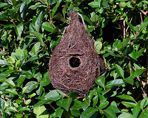 Wildlife World Giant Roost Nest Pocket von Wildlife World