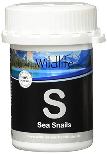 Wildlife FD Blackline - FD Sea Snails Gefriergetrockenete Futterschnecken, 1er Pack (1 x 40 Grams) von Wildlife
