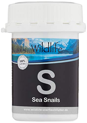Wildlife Fd Blackline - Gefriergetrockenete Sea Snails Futterschnecken, 40 G , (1Er Pack) von WILDLIFE