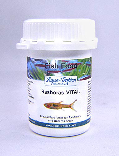 Wildlife Rasboras-VITAL - Haupt- und Farbfutter für Rasboras Fische, 40 g von Wildlife