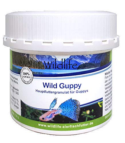 WILDLIFE Wild Guppy Hauptfutter speziell für Guppys, 520 g von WILDLIFE
