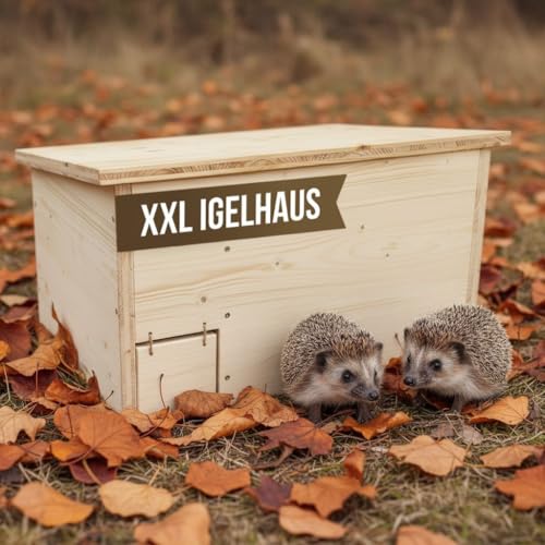 Wildnest Igelhaus XXL – extra groß, wetterfestes Holzhaus für Igel mit Rattenklappe – handgefertigt in Deutschland von Menschen mit Behinderung (58 x 42 x 32 cm) von Wildnest