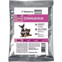 Wildsterne Breed Chihuahua Wildsterne Breed Chihuahua von Wildsterne