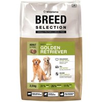 Wildsterne Breed Golden Retriever Wildsterne Breed Golden Retriever von Wildsterne