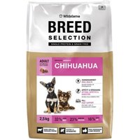 Wildsterne Breed Chihuahua Wildsterne Breed Chihuahua von Wildsterne