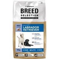 Wildsterne Breed Labrador Retriever Wildsterne Breed Labrador Retriever von Wildsterne