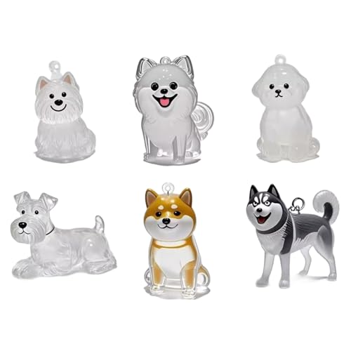 Wilgure 1/6pcs Haustier Hair Memorial Schlüsselbund Memory Memory Container Hundefell Kollektorhalter Anhänger Für Trauernde Hunde Katzen Besitzer Klares Haustier Haare Keepsakes Schlüsselbundhalter von Wilgure