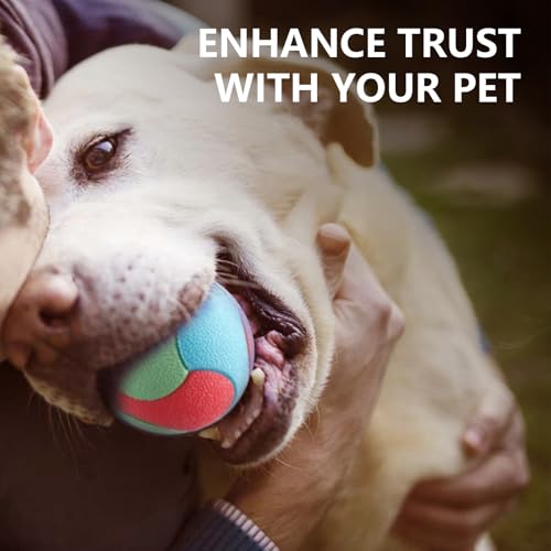 Wilgure Haustier Übungsspielzeug Sicherheit Haltbarkeit Hundespielzeug Starkes Kauen Unzerbrechliches Hundespielzeug Für Beißwiderstand Und Training Wilgure Haustier Übungsspielzeug Sicherheit Haltbarkeit Hundespielzeug Starkes Kauen Unzerbrechliches Hundespielzeug Für Beißwiderstand Und Training von Wilgure