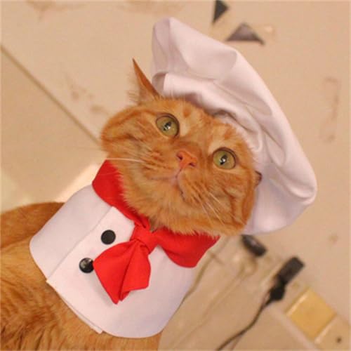 Wilgure Hundekatzen Kochkostüm Set Cosplay Halloween Party Koch Outfit Haustierkleidung Für Halloween Und Cosplay von Wilgure