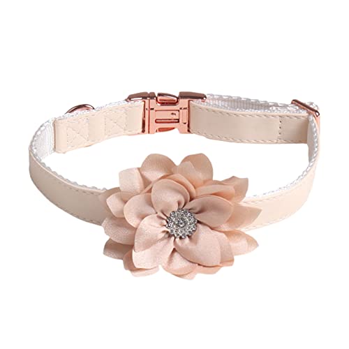 Wilitto Hundehalsband, verstellbar, dekorative Strasssteine, Rosen-Dekoration, Haustier, Hunde, Welpen, Halsband, Halskette, tägliche Kollokation, Beige S Wilitto Hundehalsband, verstellbar, dekorative Strasssteine, Rosen-Dekoration, Haustier, Hunde, Welpen, Halsband, Halskette, tägliche Kollokation, Beige S von Wilitto