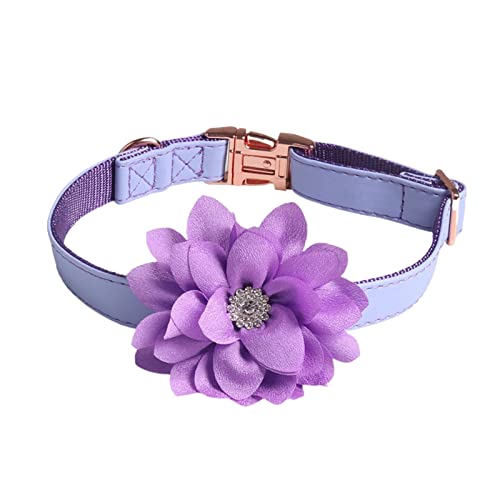 Wilitto Hundehalsband, verstellbar, dekorative Strasssteine, Rosen-Dekoration, Haustier, Hunde, Welpen, Halsband, Halskette, tägliche Kollokation, Violett, L Wilitto Hundehalsband, verstellbar, dekorative Strasssteine, Rosen-Dekoration, Haustier, Hunde, Welpen, Halsband, Halskette, tägliche Kollokation, Violett, L von Wilitto