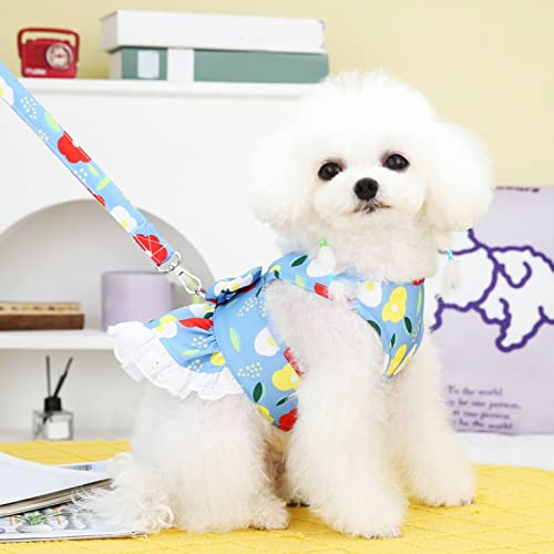 Wilitto Hundeleinenkleid, atmungsaktiv, Frühling, Sommer, Haustier-Hemden, niedliche Hundekleidung, Welpen, Hundekleid, Blumendruck, großer Saum, Haustierweste, Kleid, ärmellose Haustierbekleidung für kleine Katzen und Hunde, hellblau Wilitto Hundeleinenkleid, atmungsaktiv, Frühling, Sommer, Haustier-Hemden, niedliche Hundekleidung, Welpen, Hundekleid, Blumendruck, großer Saum, Haustierweste, Kleid, ärmellose Haustierbekleidung für kleine Katzen und Hunde, hellblau von Wilitto