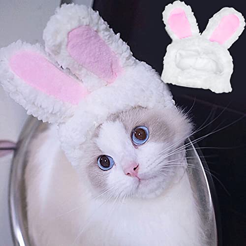 Wilitto Katzen-Kopfbedeckung mit Ohren, weicher Plüsch-Osterhut, Cartoon-Katzen-Haustierhut, niedliches Kostüm, Hasen-Hut, Haustier-Cosplay, Verkleidung, Katzen und kleine Hunde, Halloween, Weihnachten, Party, Kostümzubehör, Rosa von Wilitto