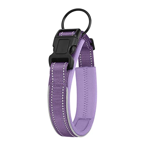 Wilitto Katzenhalsband mit Reflektierenden Streifen, Langlebiges Verstellbares Haustierhalsband, Bissfeste Schnalle Haustier Halsband Hund Haustier Halsband, Bequeme Hundehalsbänder für kleine, mittelgroße und große Hunde, Lila L von Wilitto