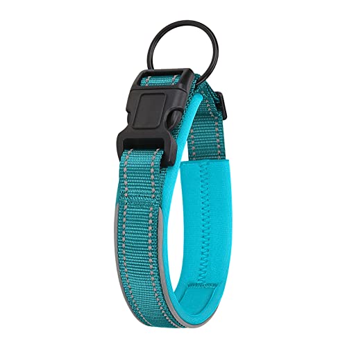 Wilitto Katzenhalsband mit reflektierenden Streifen, Langlebiges Verstellbares Haustierhalsband, Bissfeste Schnalle Haustier Halsband Hund Haustier Halsband, Bequeme Hundehalsbänder für kleine, mittelgroße und große Hunde, Cyan L von Wilitto