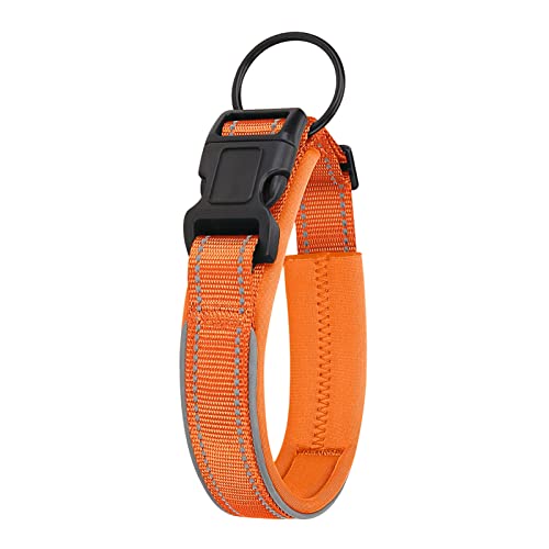 Wilitto Katzenhalsband mit reflektierenden Streifen, Langlebiges Verstellbares Haustierhalsband, Bissfeste Schnalle Haustier Halsband Hund Haustier Halsband, Bequeme Hundehalsbänder für kleine, mittelgroße und große Hunde, Orange L von Wilitto