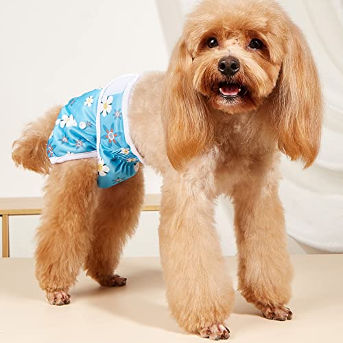 Wilitto Windeln für Hündinnen, weiche, bequeme Haustier-Menstruationshose, Infektionsprävention Blumendruck Haustier Hund Menstruations-Sanitärwindel, waschbare Hundewindel für Mädchen Hund in der Periode Hitzeblau - XS Wilitto Windeln für Hündinnen, weiche, bequeme Haustier-Menstruationshose, Infektionsprävention Blumendruck Haustier Hund Menstruations-Sanitärwindel, waschbare Hundewindel für Mädchen Hund in der Periode Hitzeblau - XS von Wilitto