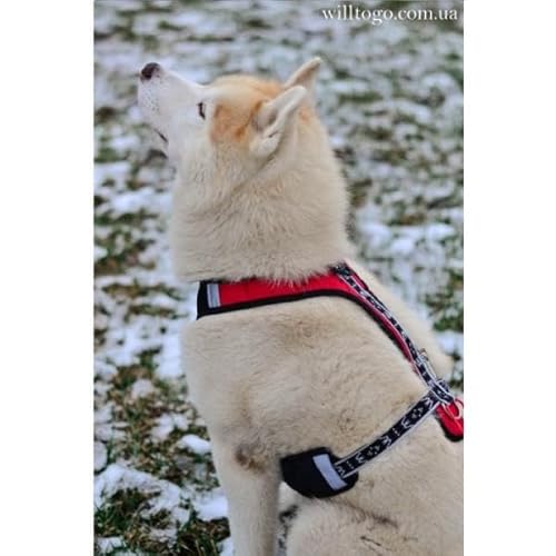 Will to go Comfort Harness Kurz-Zuggschirr-Multifunktions Hundegeschirr (Rot/Schwarz, M) von Will to go
