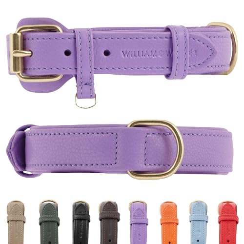 Leder Hundehalsband für große Hunde, William Walker, handgefertigt, verstellbar, besonders komfortabel, robust, pflegeleicht, extra stabil, Lavender (Lila), Größe L von William Walker