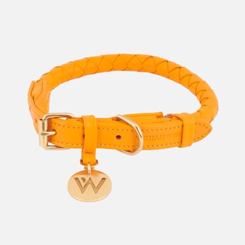 William Walker - Hochwertiges Hunde Halsband Twisted aus Rindsleder - Maximal robust, langlebig und pflegeleicht - Für kleine, mittlere und große Hunde (Orange, L (43cm - 51cm)) von William Walker
