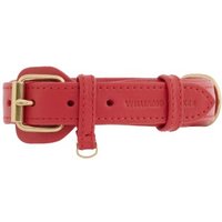 William Walker Hundehalsband Plain Chili L von William Walker