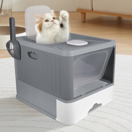 Katzentoilette für Katzen, groß für Katzen und Kaninchen, Katzentoilette, leicht zu reinigen (48 x 37 x 38 cm, grau) von Willonin