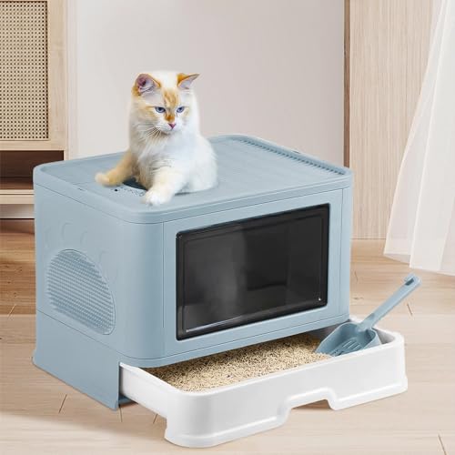 Katzentoilette mit großem Volumen – 48,5 x 36,5 x 38 cm Katzentoilette faltbar aus PP mit Pflege + Aufbewahrungsbox, Blau Katzentoilette mit großem Volumen – 48,5 x 36,5 x 38 cm Katzentoilette faltbar aus PP mit Pflege + Aufbewahrungsbox, Blau von Willonin