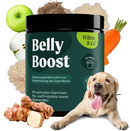 Wilma & Co. Belly Boost Pulver, bessere Verdauung und stärkeres Immunsystem, Probiotika Präbiotika Hund mit Flohsamenschalen, Folsäure und Vitamine, Hund Darmflora aufbauen, Darmsanierung von Wilma & Co.
