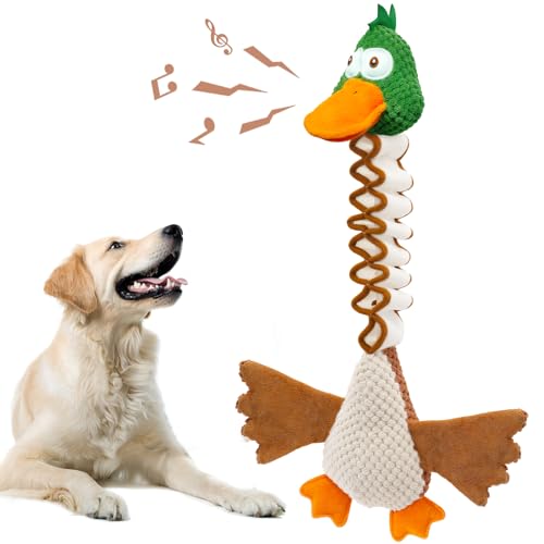 WinTour Hundespielzeug für kleine Hunde, Welpenspielzeug, um sie zu beschäftigen, Welpenspielzeug zum Zahnen, Kauspielzeug für kleine und mittelgroße Hunde, nicht robustes Hundespielzeug für WinTour Hundespielzeug für kleine Hunde, Welpenspielzeug, um sie zu beschäftigen, Welpenspielzeug zum Zahnen, Kauspielzeug für kleine und mittelgroße Hunde, nicht robustes Hundespielzeug für von WinTour
