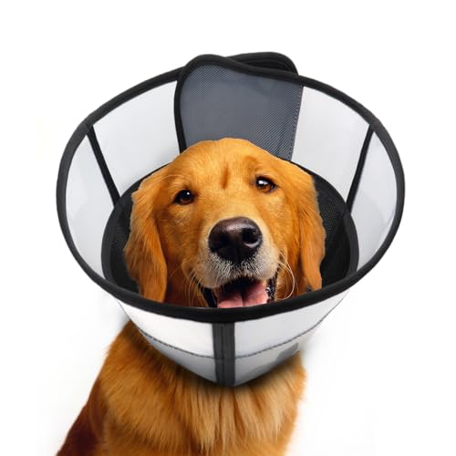 WinWeal Weicher Hundekegel für Hunde nach Operationen, atmungsaktives Haustier-Genesungshalsband für große mittelgroße Hunde, verstellbares Hundekegelhalsband, elisabethanisches Halsband (XL, Schwarz) WinWeal Weicher Hundekegel für Hunde nach Operationen, atmungsaktives Haustier-Genesungshalsband für große mittelgroße Hunde, verstellbares Hundekegelhalsband, elisabethanisches Halsband (XL, Schwarz) von WinWeal