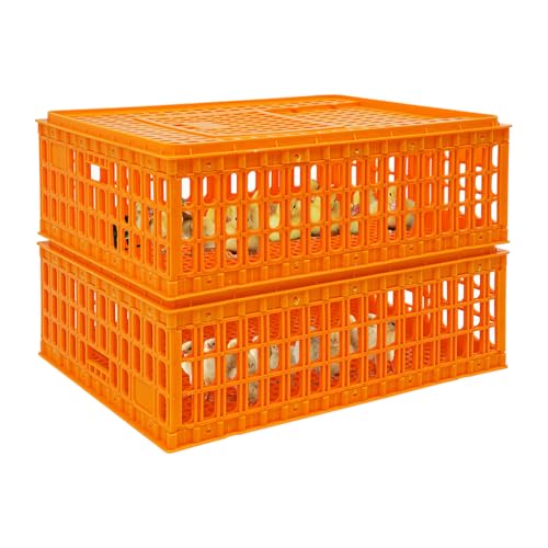WindWilder Hühner Transportkäfig 77x55x27 cm, Pack of 2, Stapelbar Kleintiere Transportbox für Geflügel, Kaninchen & Vögel, Robust & Belüftet, Weiß (Gelb, Pack of 2) von WindWilder