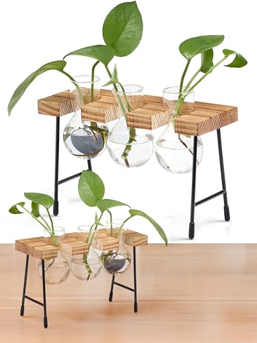 Window Garden Glas-Pflanzvasenständer aus Holz, Glaszwiebelstation mit Ständer, Holzrahmen für Pflanzenvermehrung und Beobachtung von Wachstumsbedingungen von Window Garden