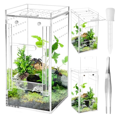 Windspeed Mini-Spinnengehege, 7,6 x 7,6 x 15,2 cm, Acryl-Terrarium mit Belüftung, Springspinnengehege, Käfig, tragbares Mikro-Lebensraum-Terrarium für Vogelspinne, Eidechsen, Gecko mit Zange, Pipette Windspeed Mini-Spinnengehege, 7,6 x 7,6 x 15,2 cm, Acryl-Terrarium mit Belüftung, Springspinnengehege, Käfig, tragbares Mikro-Lebensraum-Terrarium für Vogelspinne, Eidechsen, Gecko mit Zange, Pipette von Windspeed