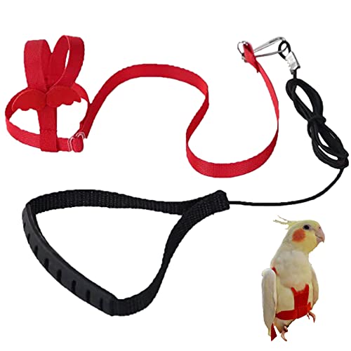 Verstellbares Geschirr für Papageien Vogel Geschirr Leine für draußen zum Trainieren von Fliegen Leine gegen Beißen elastisches Band für Vögel Papageien Kakadus Aras (rot, S) Verstellbares Geschirr für Papageien Vogel Geschirr Leine für draußen zum Trainieren von Fliegen Leine gegen Beißen elastisches Band für Vögel Papageien Kakadus Aras (rot, S) von Winmany