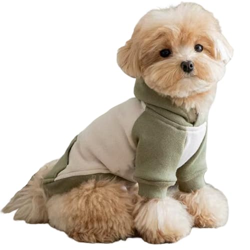Winmany Kapuzenpullover für kleine Hunde, für Hunde und Katzen, leicht, Herbst und Frühling, Haustier-Kapuzenpullover (Grün, Größe S) von Winmany