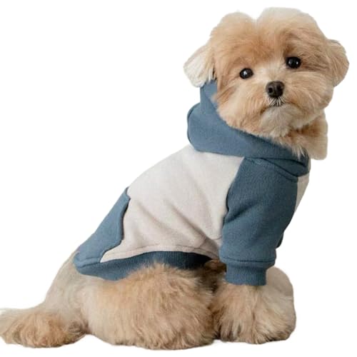 Winmany Kapuzenpullover für kleine Hunde und Katzen, leicht, Herbst und Frühling, Haustier-Kapuzenpullover (Blau, XL) von Winmany