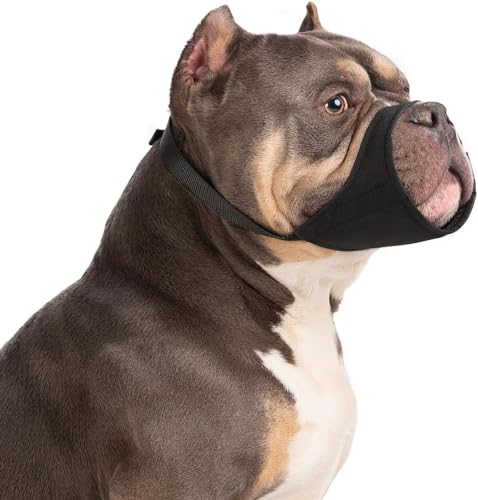 Winmany Maulkorb für große und mittelgroße Hunde, kurze Schnauze, um Beißen und Bellen zu verhindern, geeignet für Bully Boxer Chow Chow für Fellpflege, Spazierengehen, Größe M Winmany Maulkorb für große und mittelgroße Hunde, kurze Schnauze, um Beißen und Bellen zu verhindern, geeignet für Bully Boxer Chow Chow für Fellpflege, Spazierengehen, Größe M von Winmany