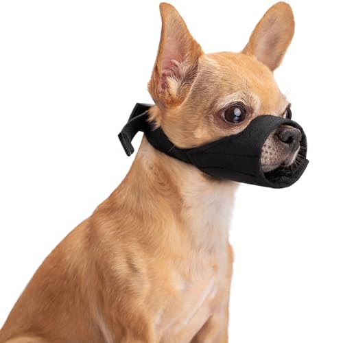 Winmany Maulkorb für kleine Hunde, weicher Maulkorb mit kurzer Schnauze, um Beißen und Bellen zu verhindern, geeignet für Chihuahua, Shih Tzu, Bulldogge, Pitbull für Fellpflege, Spazierengehen (XS) Winmany Maulkorb für kleine Hunde, weicher Maulkorb mit kurzer Schnauze, um Beißen und Bellen zu verhindern, geeignet für Chihuahua, Shih Tzu, Bulldogge, Pitbull für Fellpflege, Spazierengehen (XS) von Winmany